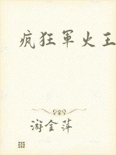 疯狂军火王