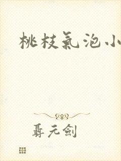 桃枝气泡小说封面