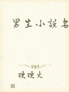 男生小说名字封面