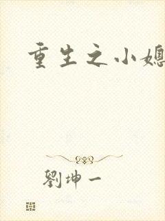 重生之小媳妇封面