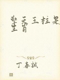 擎天玉柱是什么生肖