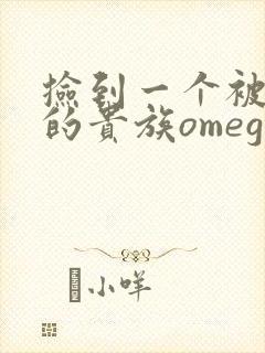 捡到一个被抹布的贵族omega