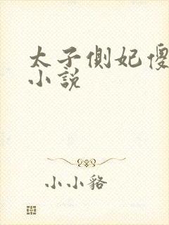 太子侧妃傻乎乎小说