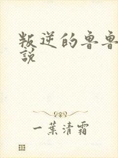 叛逆的鲁鲁修小说