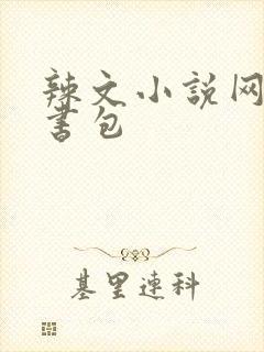 辣文小说网第二书包