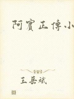 阿宾正传小说