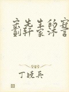 宋先生的宠妻计划轩家沐言封面