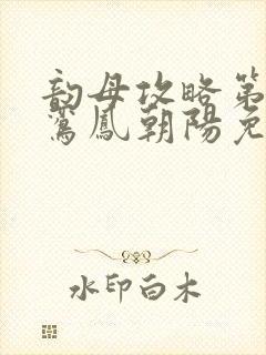 韵母攻略第二部鸾凤朝阳免费阅读