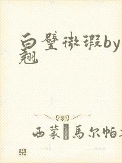 白璧微瑕by连翘