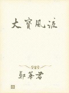 大宝风流封面