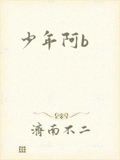 少年阿b封面