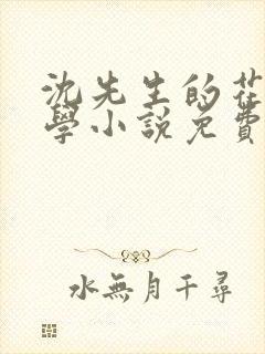 沈先生的花式教学小说免费