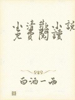 小清欢小说全文免费阅读