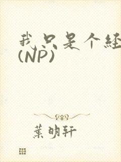 我只是个经纪人(NP)封面