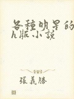 各种明星的综艺h版小说