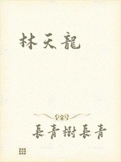 林天龙封面