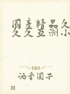 国产精品久久久久久亚洲小说