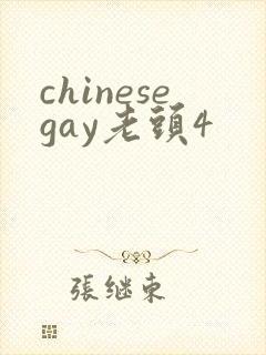 chinesegay老头4