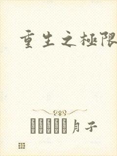 重生之极限风流