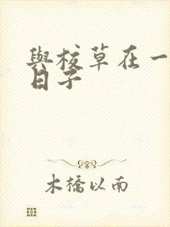 与校草在一起的日子封面