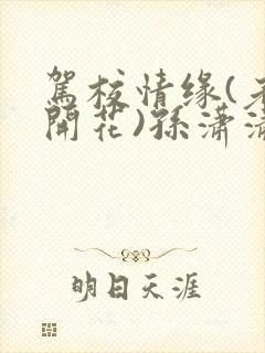 驾校情缘(老树开花)孙潇潇第一次趣笔阁