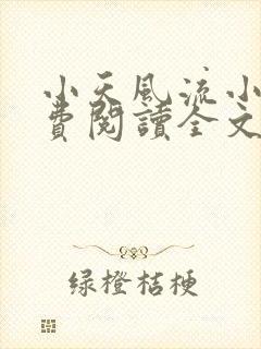 小天风流小说免费阅读全文最新章节封面