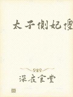 太子侧妃傻乎乎封面