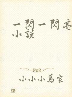 一闪一闪亮星星小说