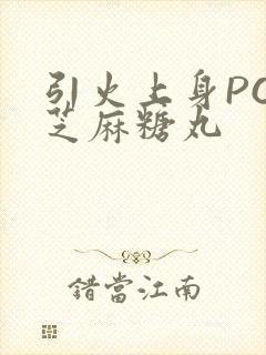 引火上身POP芝麻糖丸