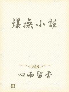 爆操小说