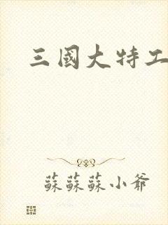 三国大特工