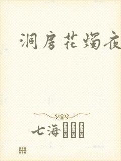 洞房花烛夜小说