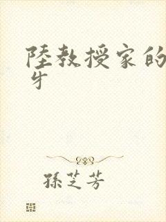 陆教授家的小月牙