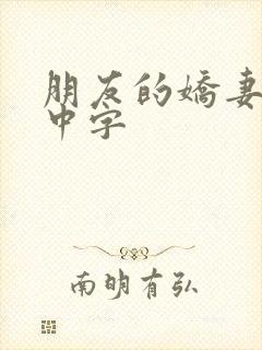 朋友的娇妻hd中字封面