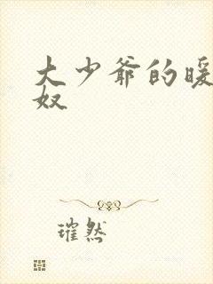 大少爷的暖床小奴