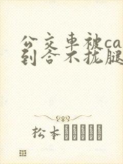 公交车被cao到合不拢腿视频封面