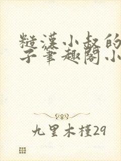 糙汉小叔的娇嫂子笔趣阁小说封面