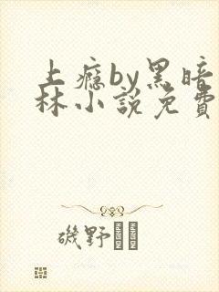 上瘾by黑暗森林小说免费