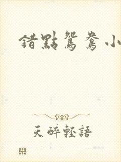 错点鸳鸯小说