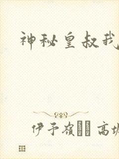 神秘皇叔我要了封面