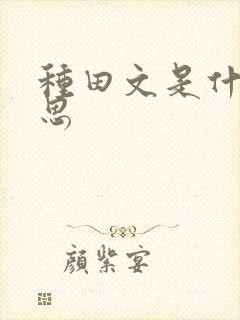 种田文是什么意思