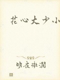 花心大少小说