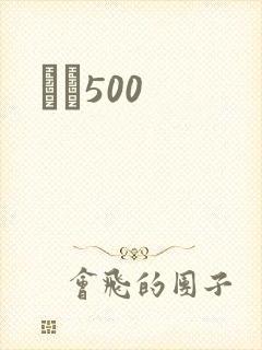 С˵500封面