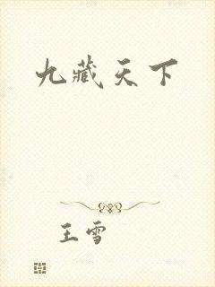 九藏天下