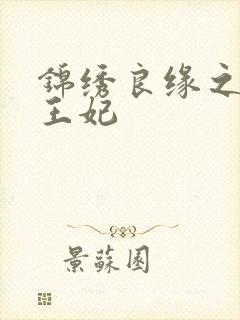 锦绣良缘之北地王妃