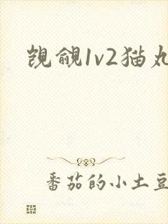 觊觎1v2猫丸