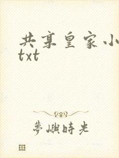 共享皇家小公主txt