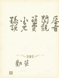 孙小萌闫辰的小说免费观看封面