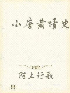 小唐黄倩史