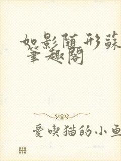 如影随形苏玛丽 笔趣阁封面